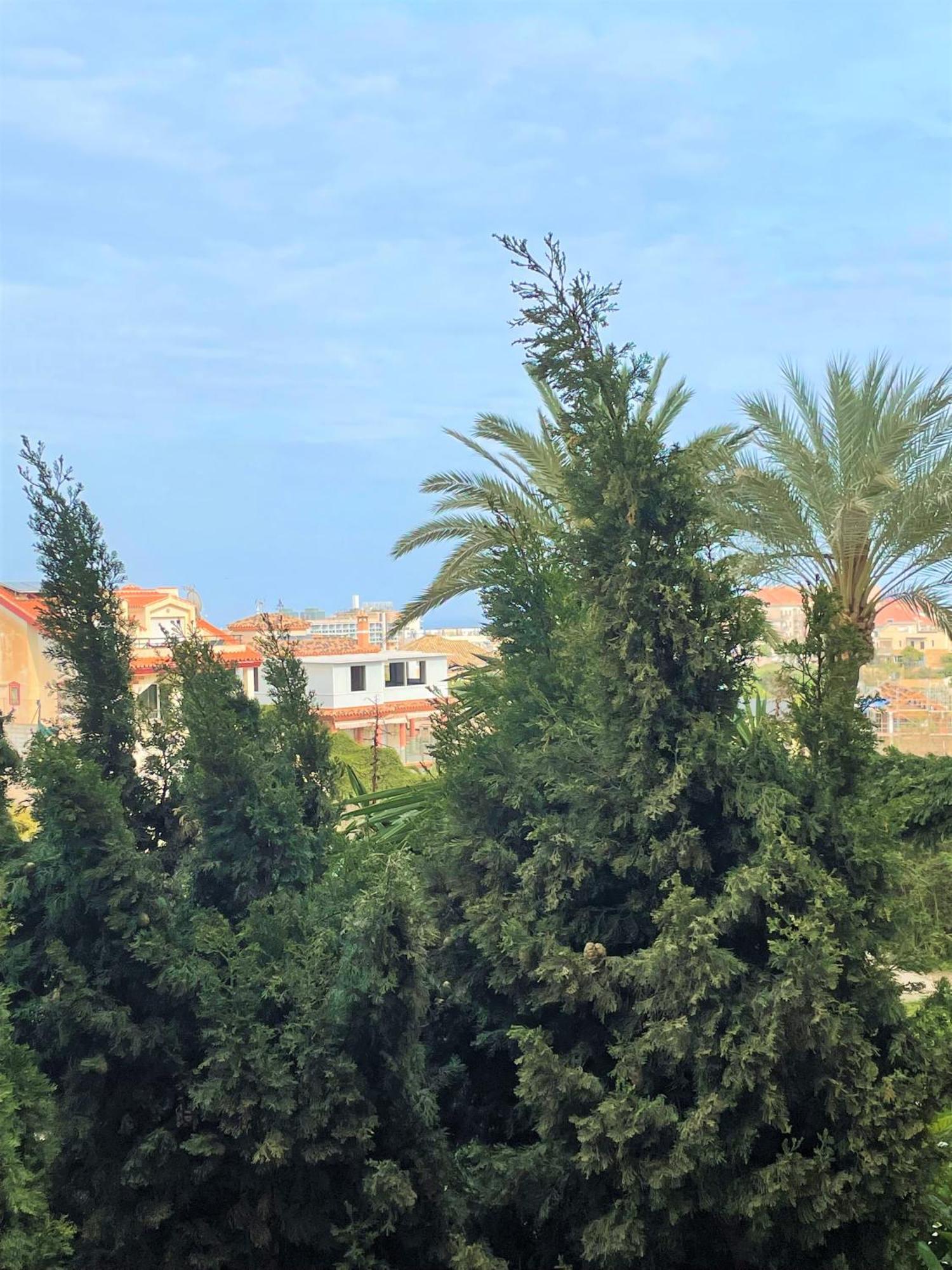 Klimatyczny Loft I Egzotyczny Basen Apartment Benalmadena Exterior photo